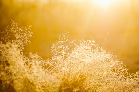 FUZIO3_JanuaryBlog1_CircadianLighting_CoronaDelMarCA_image