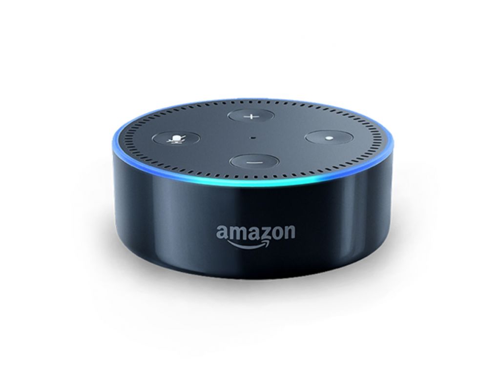 savant alexa
